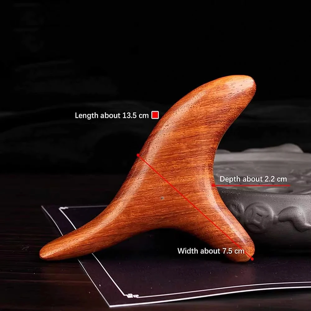 Arka Bacak El Yüz 1 Adet Boyun - Home Gym Tools incelemesi ve fiyatı