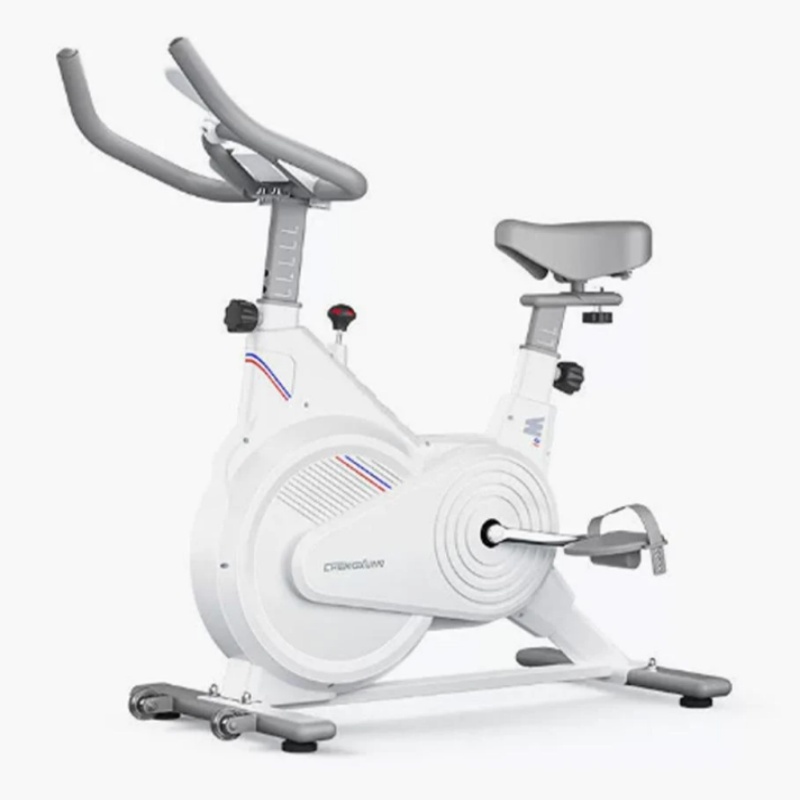 İç Mekan Sabit Spin Bisikleti, - Home Gym Necessities incelemesi ve fiyatı